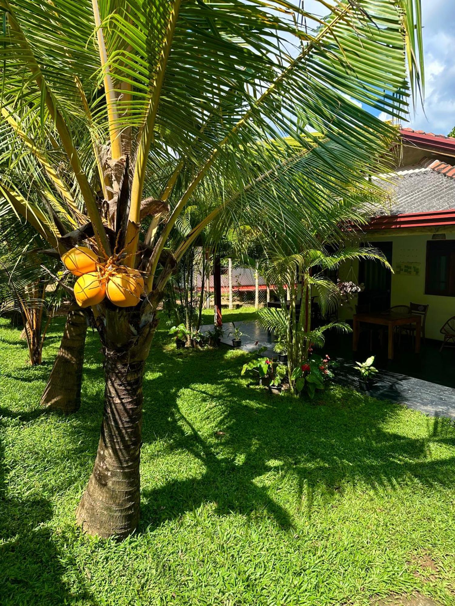 Jasmin Homestay Marakolliya Tangalle Eksteriør bilde