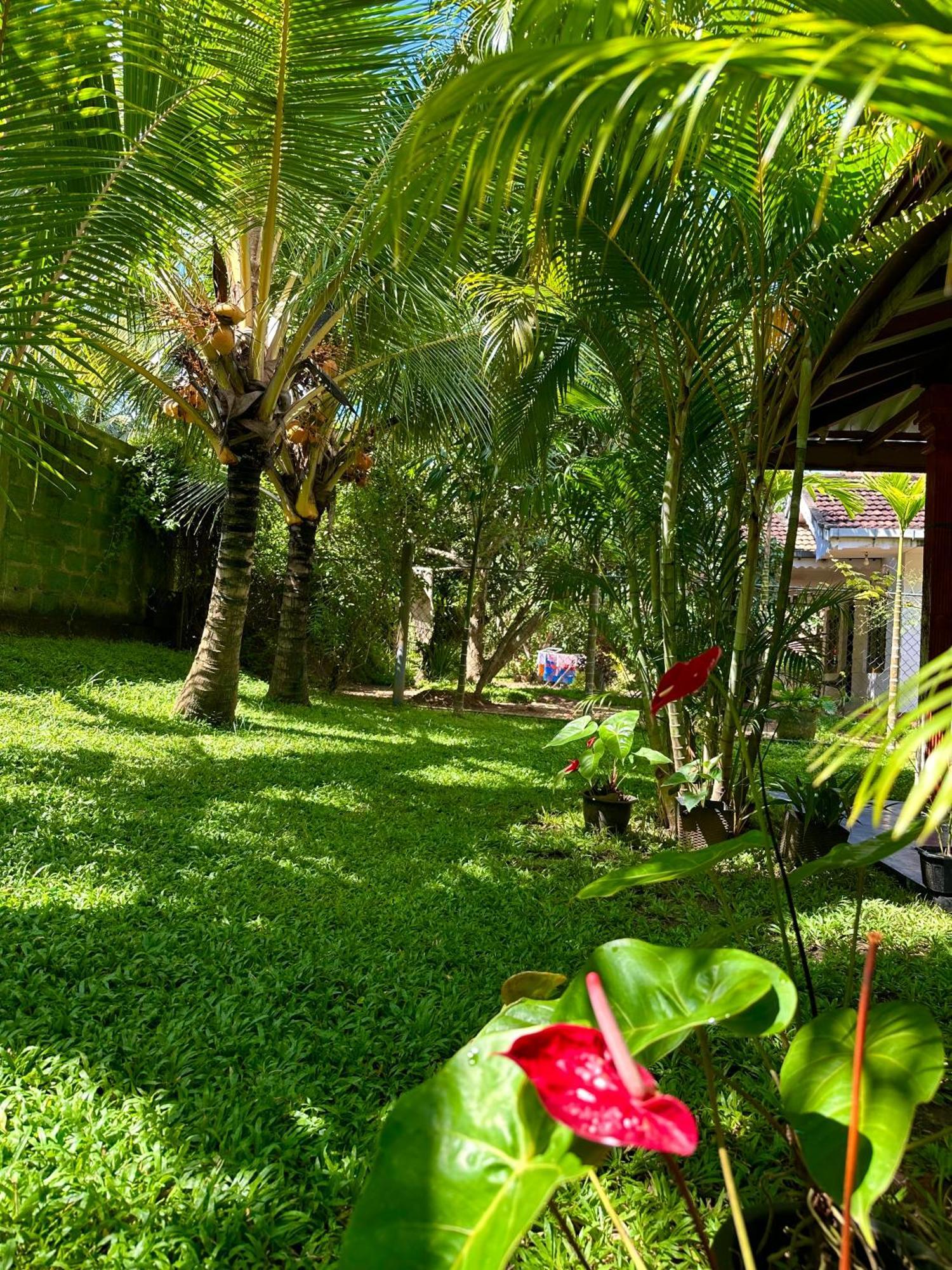 Jasmin Homestay Marakolliya Tangalle Eksteriør bilde
