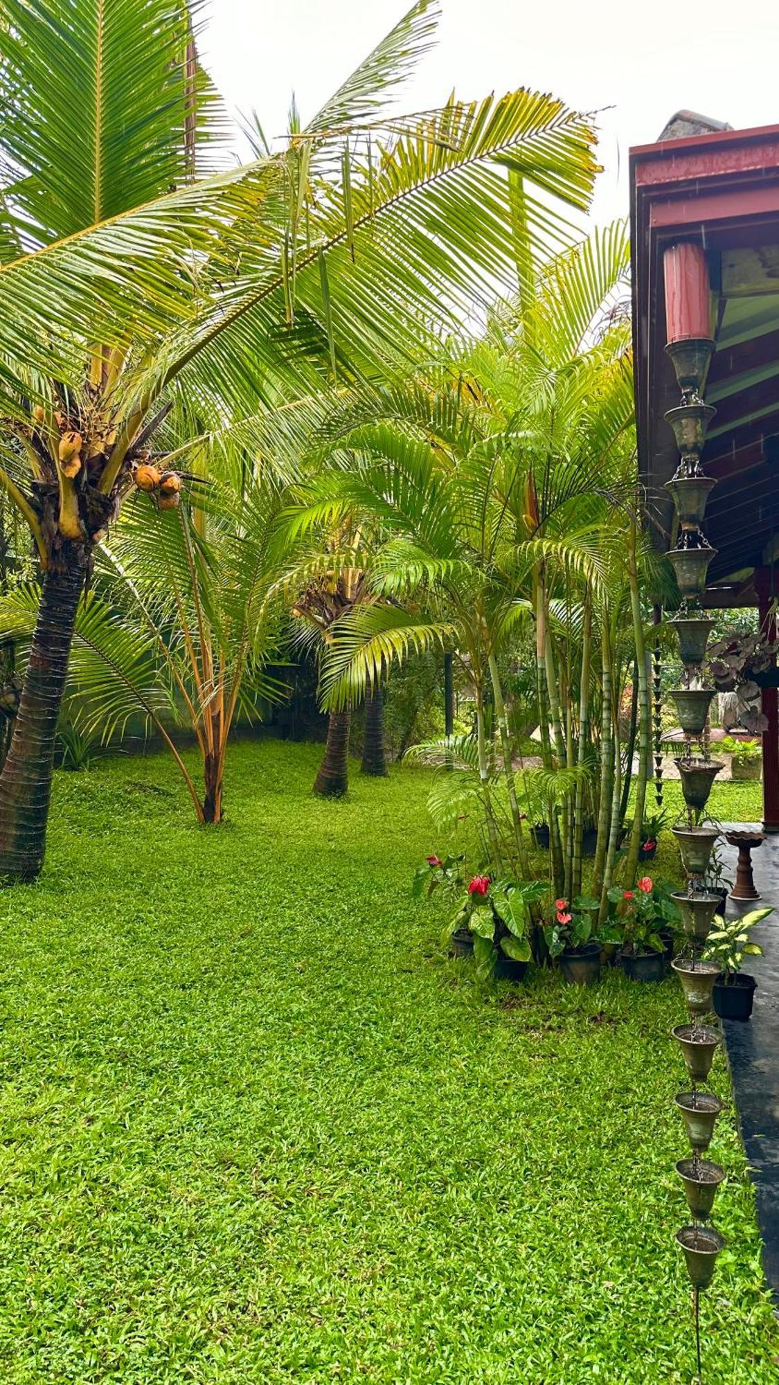 Jasmin Homestay Marakolliya Tangalle Eksteriør bilde