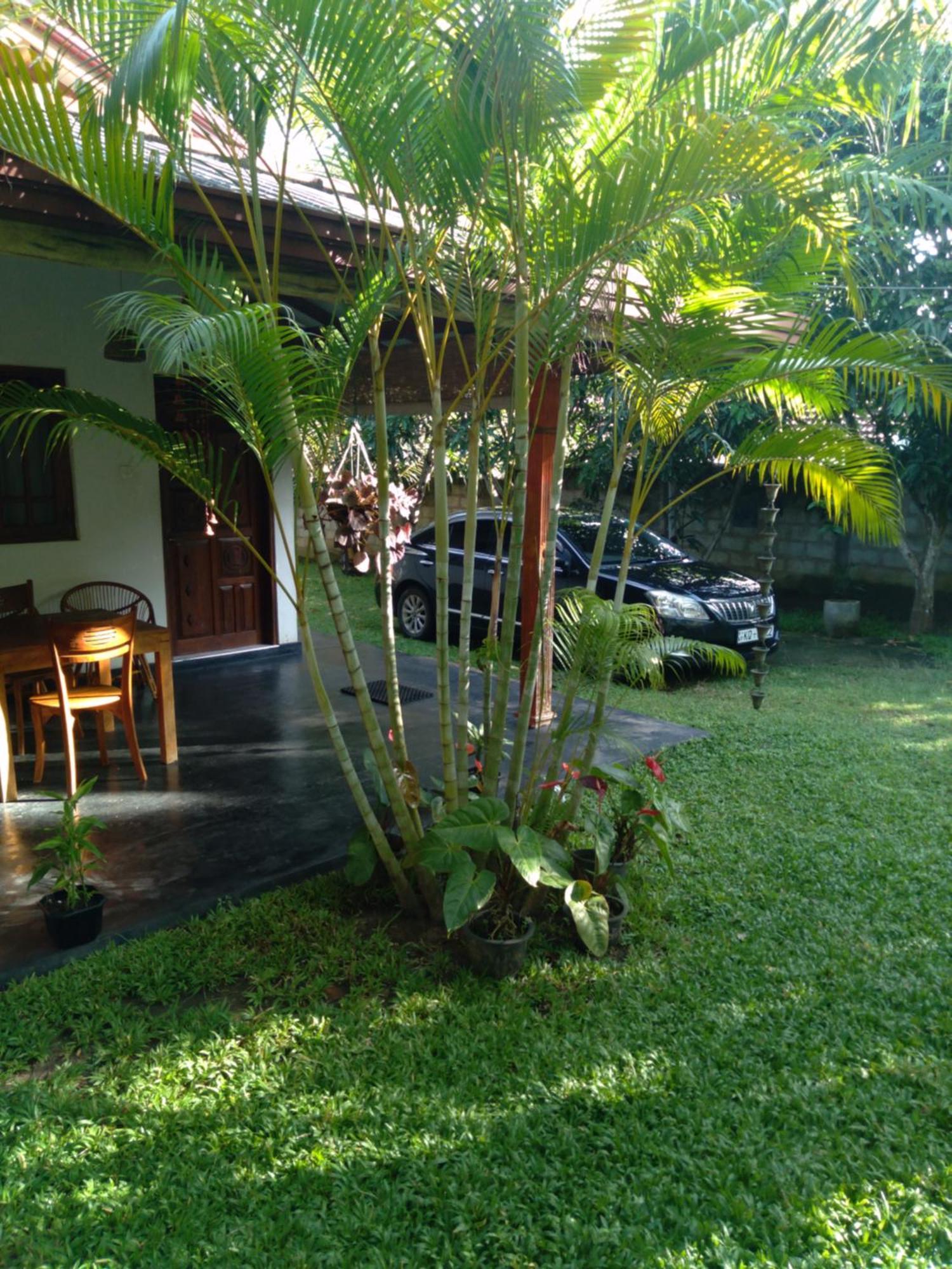 Jasmin Homestay Marakolliya Tangalle Eksteriør bilde